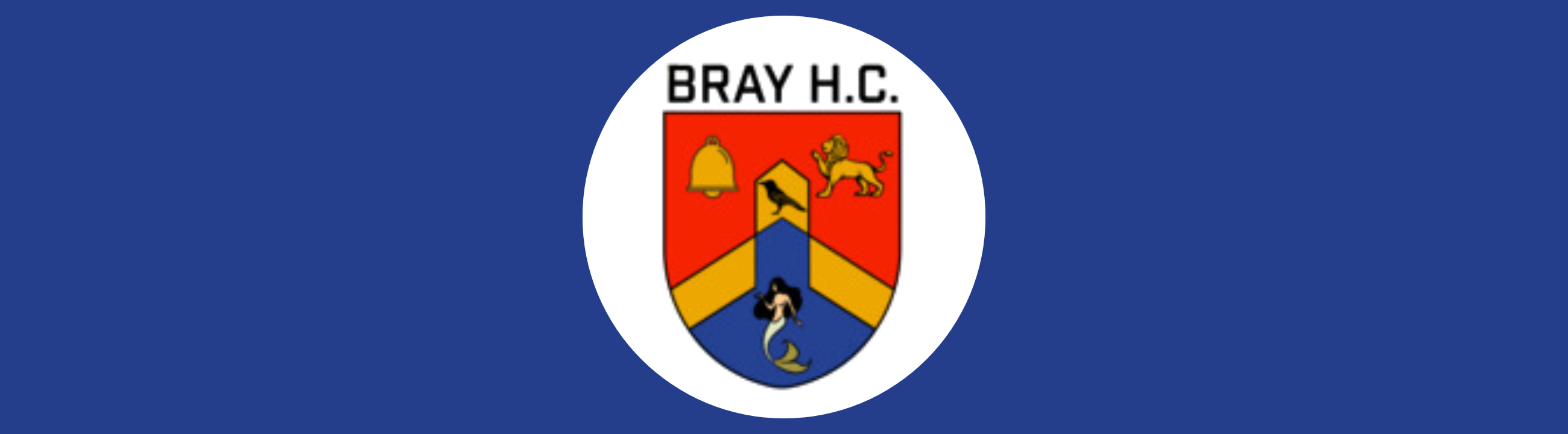 Bray Hockey Club